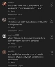 Trisha Paytas gets called out by fans 1/3 (Image via TikTok)